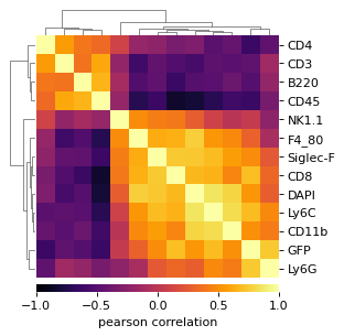 ../_images/FACSPy-pl-marker_correlation-1.png