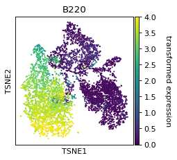 ../_images/FACSPy-pl-tsne-1.png