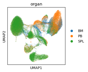 ../_images/vignettes_dataset_singlecell_analysis_21_1.png