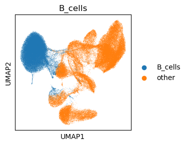 ../_images/vignettes_dataset_singlecell_analysis_30_1.png